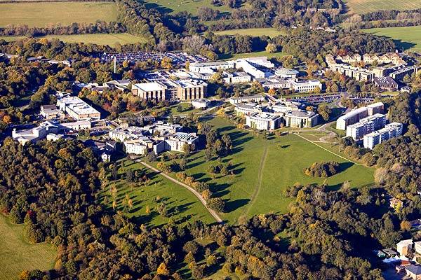 View of University